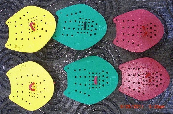 Photo of training paddles